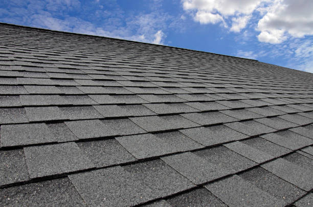Best Skylight Installation and Repair  in New Hyde Park, NY